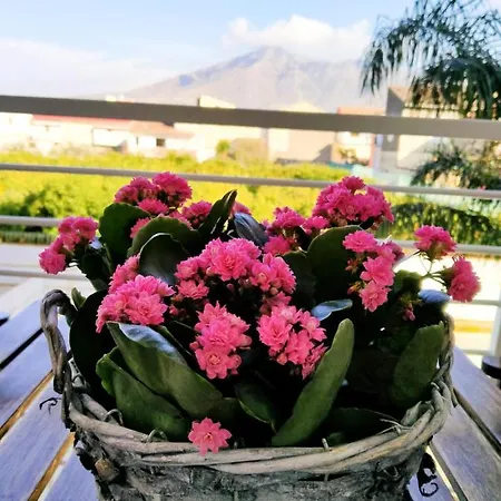 ベッド・アンド・ブレックファスト White One San Prisco